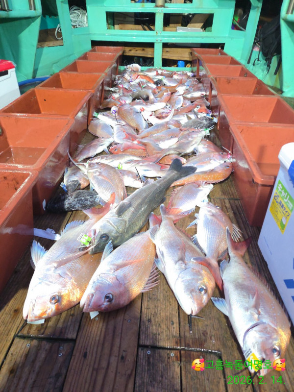 쎄븐피싱클럽(선상 버스출조전문)_사진_20260214_4.jpg