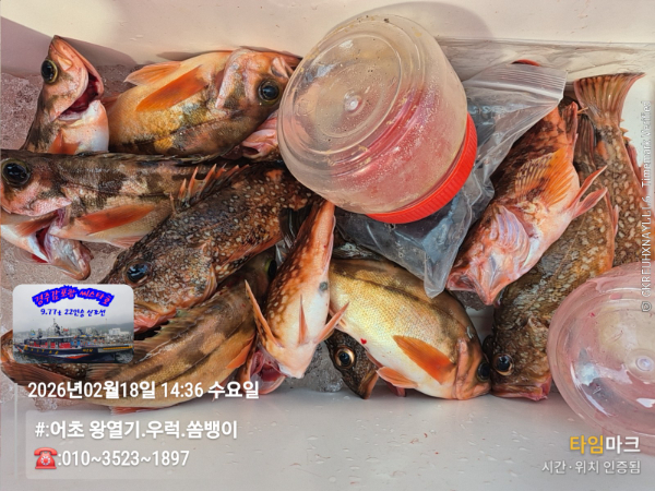 2026-02-18 14.36.02__(#-어초 왕열기.우럭.쏨뱅이)_(-010~3523~1897).jpg