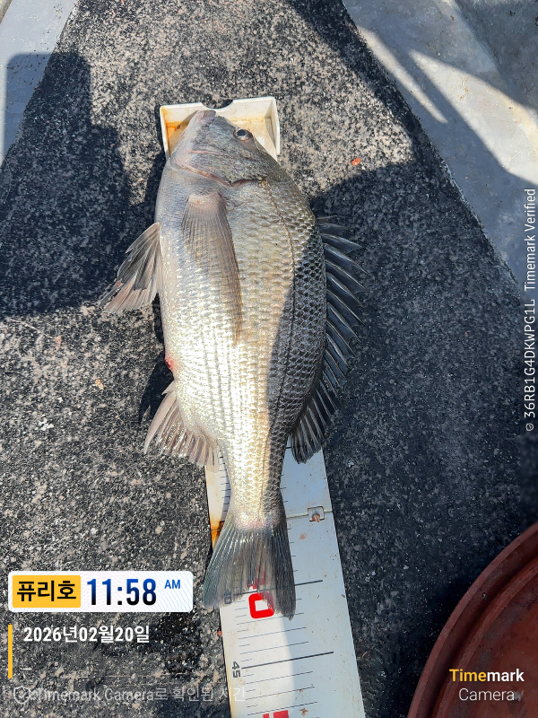 2026-02-20 11.58.57_(제목-퓨리호).jpeg