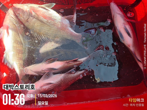 2026-02-15 01.36.54__(대박스토리호).jpg