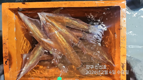 신신낚시 강구점 신신호_사진_20260205_14.jpg