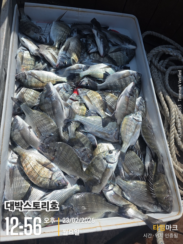 2026-02-23 12.56.07__(대박스토리호).jpg