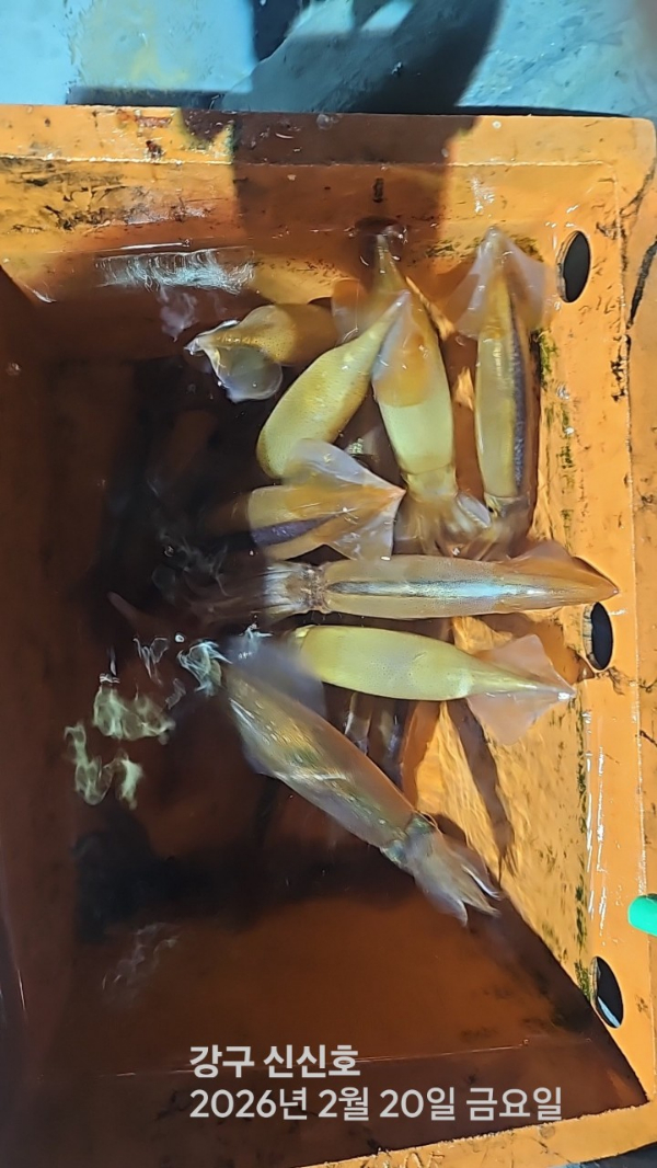 신신낚시 강구점 신신호_사진_20260221_7.jpg