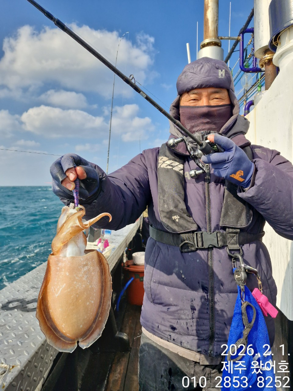 제주왔어호_사진_20260202_31.jpg