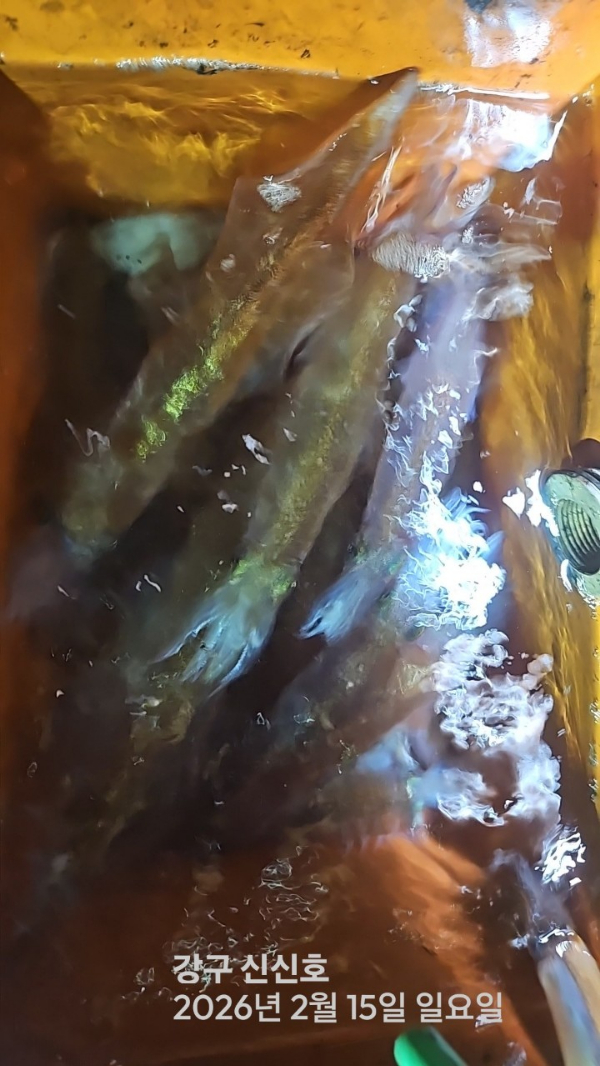 신신낚시 강구점 신신호_사진_20260216_8.jpg
