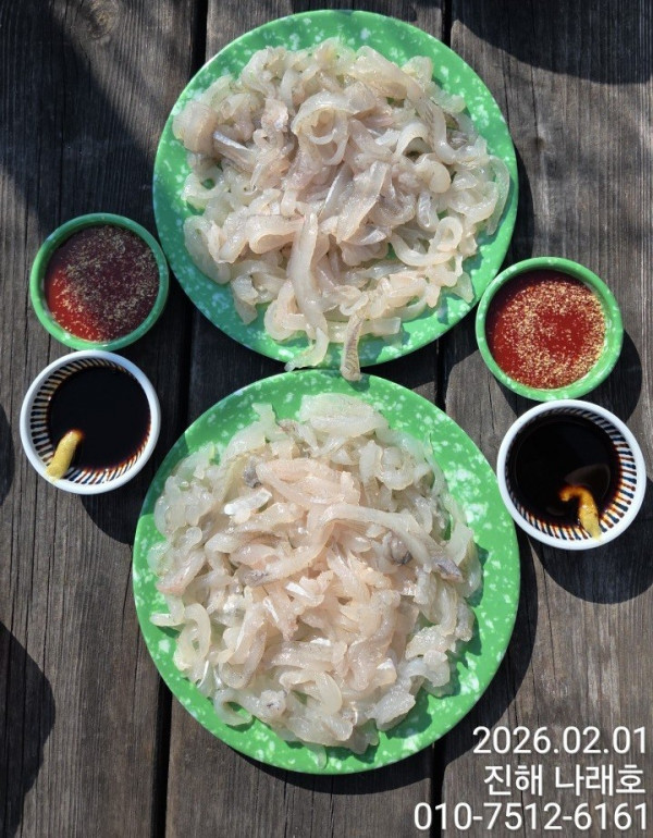 나래피싱(문어,낙지,갈치,호래기,감성돔)_사진_20260202_12.jpg