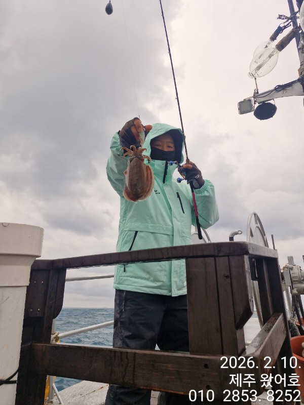 제주왔어호_사진_20260211_27.jpg