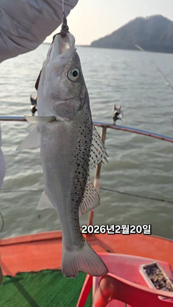 2026_02_20 09_40(4).jpg