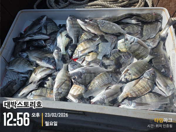 2026-02-23 12.56.11__(대박스토리호).jpg