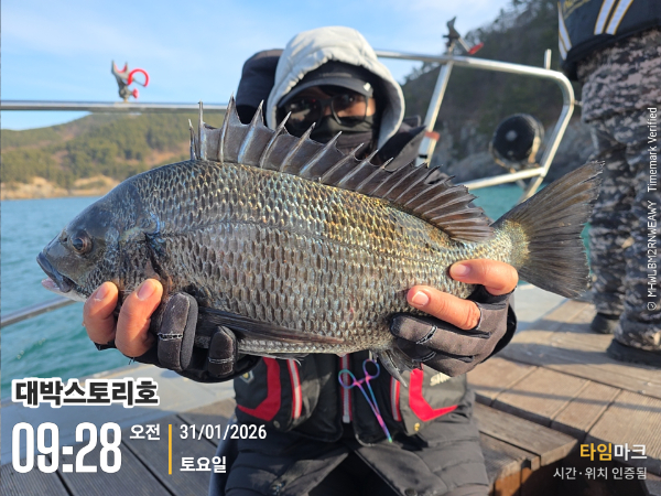 2026-01-31 09.28.09__(대박스토리호).jpg