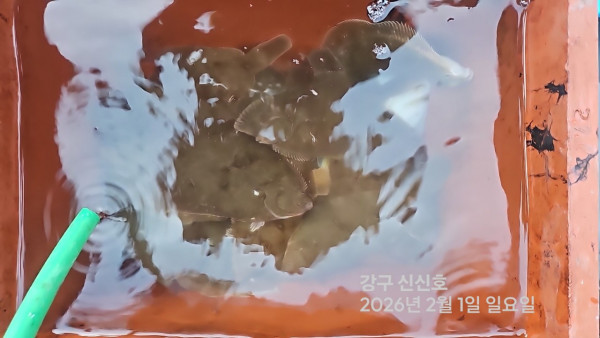 신신낚시 강구점 신신호_사진_20260201_11.jpg