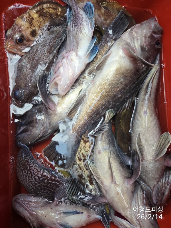 최강피싱 063.463.0800_사진_20260215_19.jpg