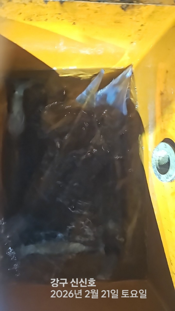 신신낚시 강구점 신신호_사진_20260222_2.jpg