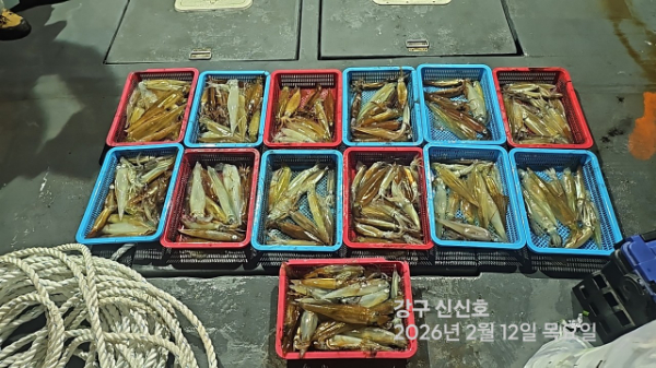 신신낚시 강구점 신신호_사진_20260213_2.jpg