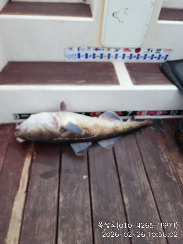 IMG_20260226_105602.jpg