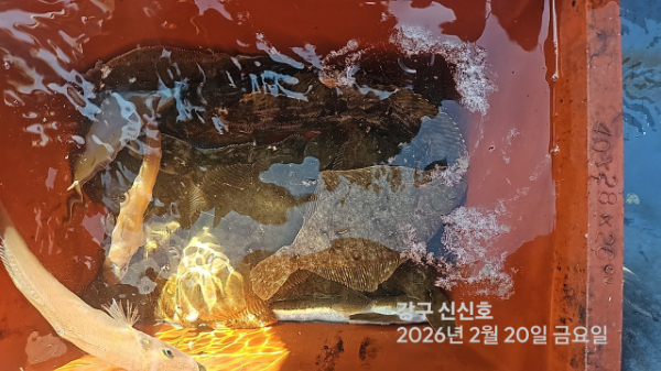 신신낚시 강구점 신신호_사진_20260220_5.jpg