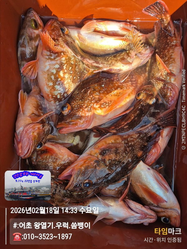 2026-02-18 14.33.00__(#-어초 왕열기.우럭.쏨뱅이)_(-010~3523~1897).jpg