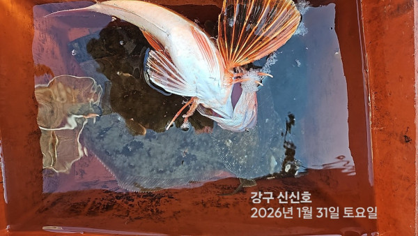 신신낚시 강구점 신신호_사진_20260131_2.jpg