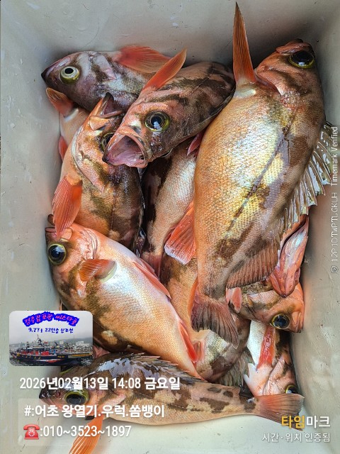 2026-02-13 14.08.59__(#-어초 왕열기.우럭.쏨뱅이)_(-010~3523~1897).jpg