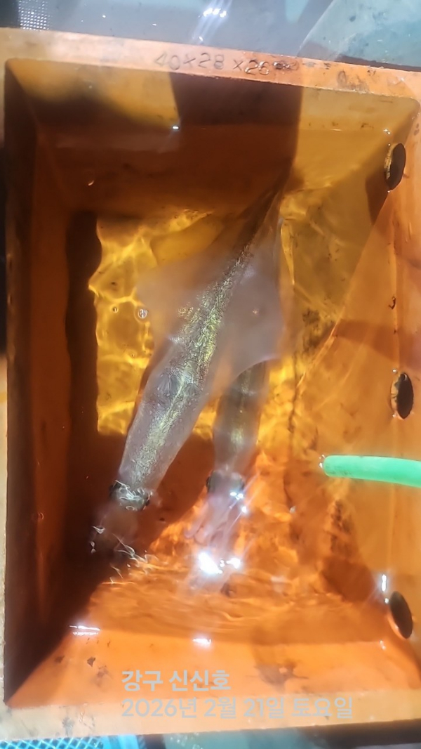 신신낚시 강구점 신신호_사진_20260222_8.jpg