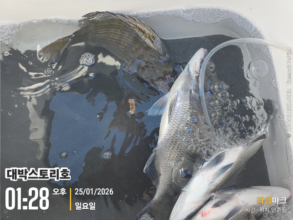 2026-01-25 01.28.33__(대박스토리호).jpg