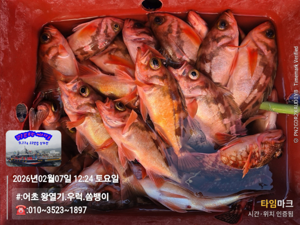 2026-02-07 12.24.49__(#-어초 왕열기.우럭.쏨뱅이)_(-010~3523~1897).jpg