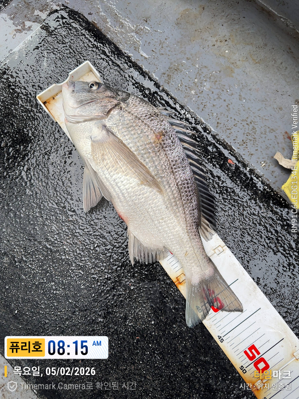 2026-02-05 08.15.26_(제목-퓨리호).jpeg