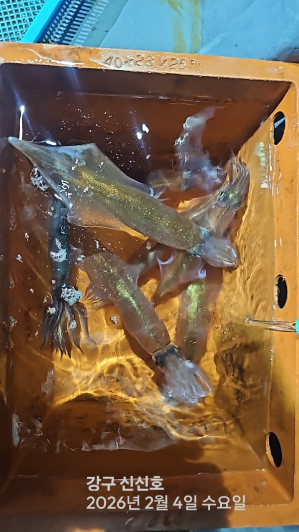 신신낚시 강구점 신신호_사진_20260205_19.jpg