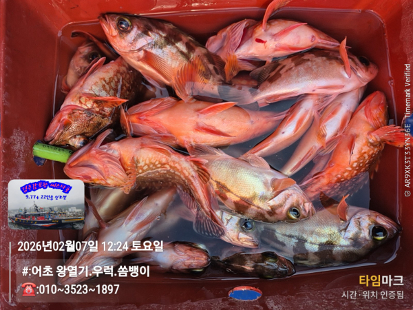 2026-02-07 12.24.57__(#-어초 왕열기.우럭.쏨뱅이)_(-010~3523~1897).jpg