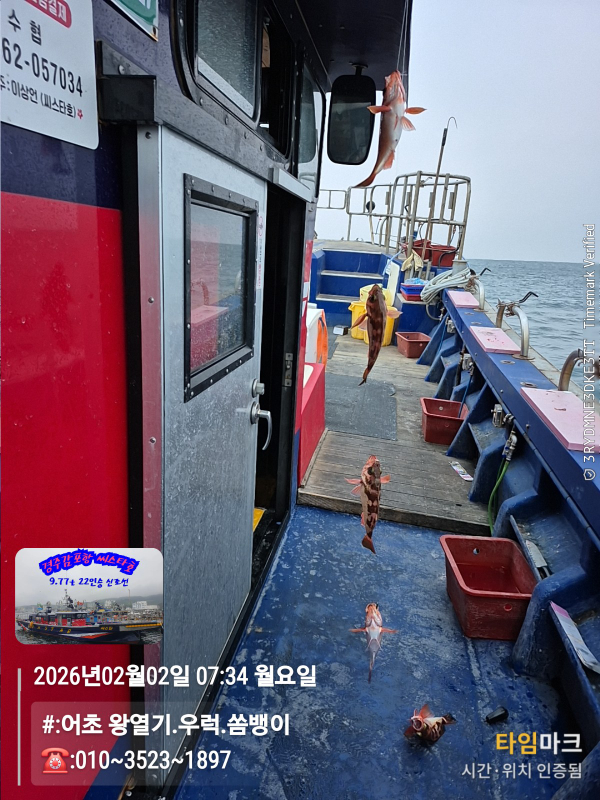 2026-02-02 07.34.35__(#-어초 왕열기.우럭.쏨뱅이)_(-010~3523~1897).jpg