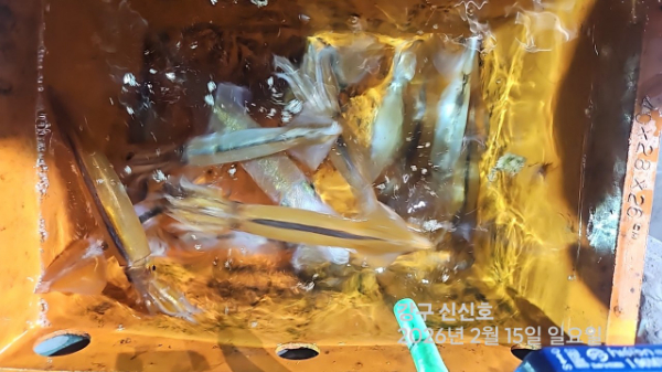 신신낚시 강구점 신신호_사진_20260216_12.jpg