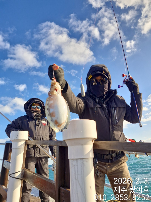 제주왔어호_사진_20260204_24.jpg