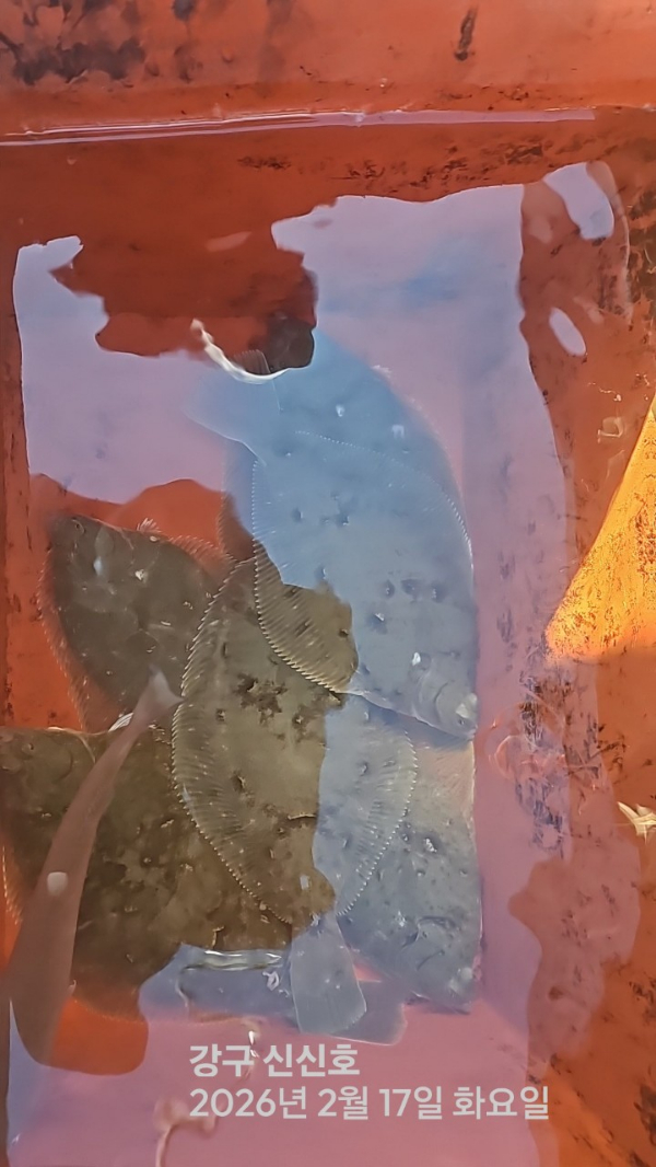 신신낚시 강구점 신신호_사진_20260217_12.jpg