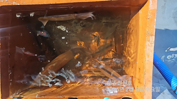 신신낚시 강구점 신신호_사진_20260212_8.jpg