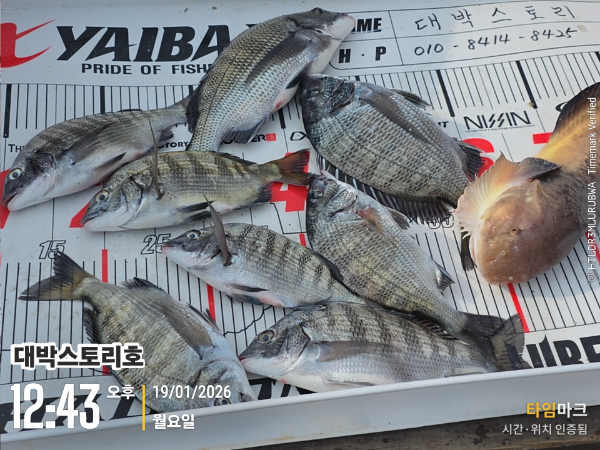 2026-01-19 12.43.47__(대박스토리호).jpg