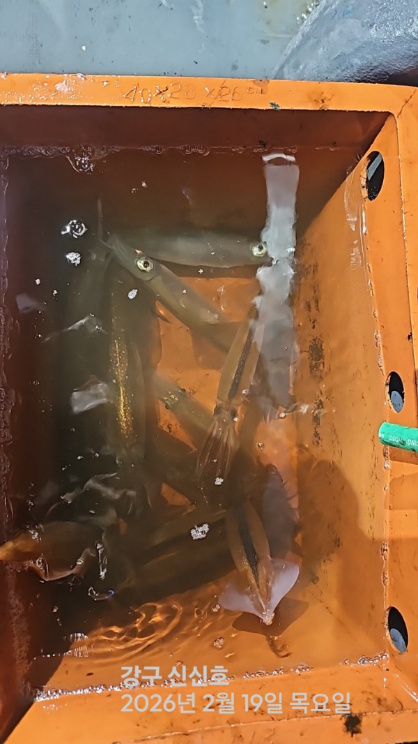 신신낚시 강구점 신신호_사진_20260220_9.jpg