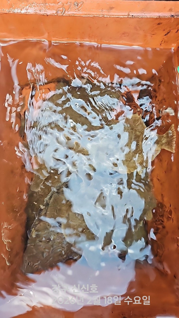 신신낚시 강구점 신신호_사진_20260218_5.jpg