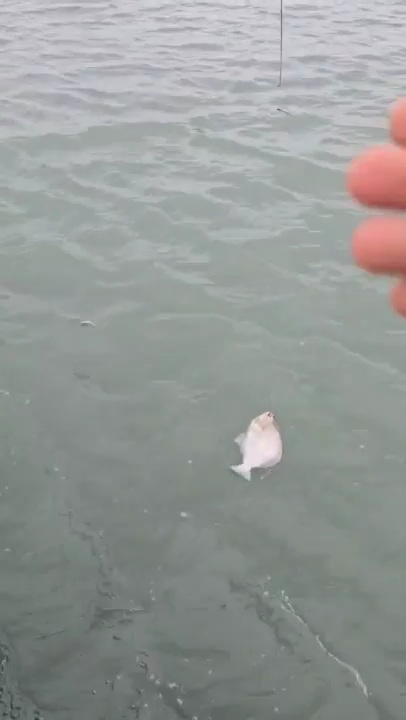 2026_02_27 19_33(3).jpg