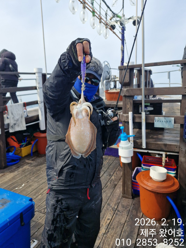 제주왔어호_사진_20260220_28.jpg