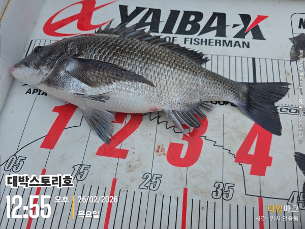 2026-02-26 12.55.12__(대박스토리호).jpg