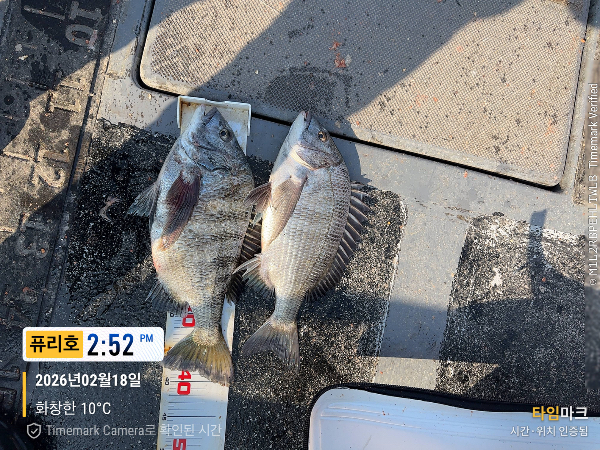 2026-02-18 14.52.29_(제목-퓨리호).jpeg