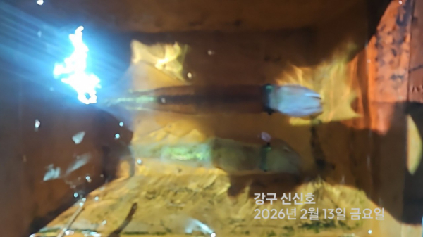 신신낚시 강구점 신신호_사진_20260214_14.jpg