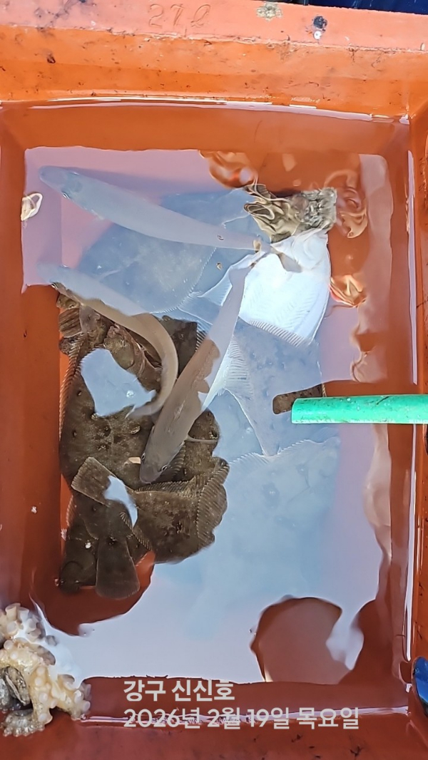 신신낚시 강구점 신신호_사진_20260219_17.jpg