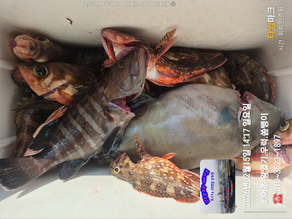 2026-02-15 14.17.29__(#-어초 왕열기.우럭.쏨뱅이)_(-010~3523~1897).jpg