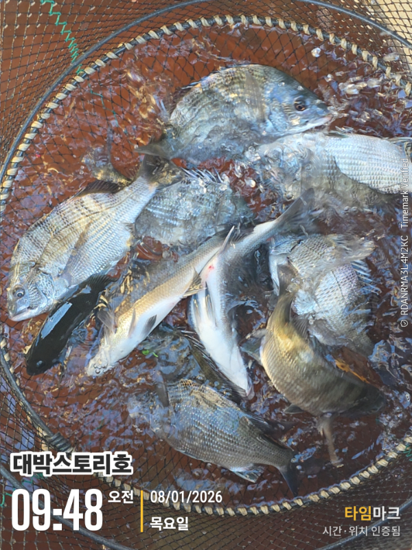 2026-01-08 09.48.33__(대박스토리호).jpg