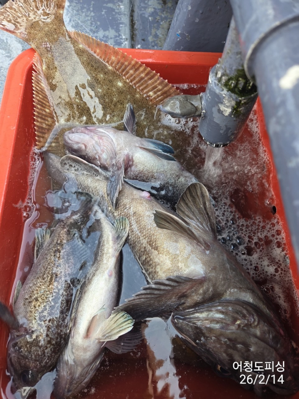 최강피싱 063.463.0800_사진_20260215_23.jpg