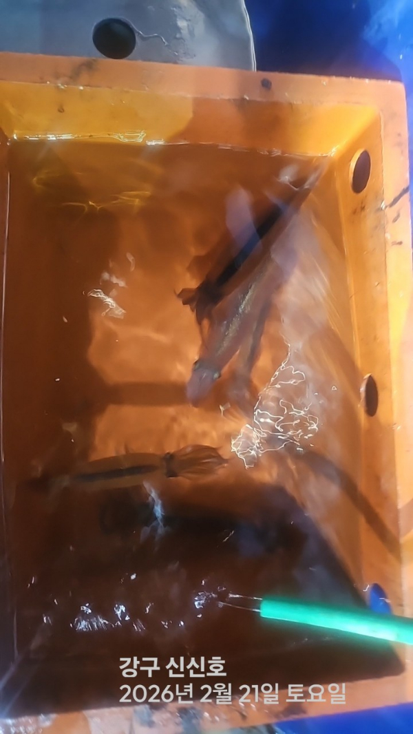 신신낚시 강구점 신신호_사진_20260222_9.jpg