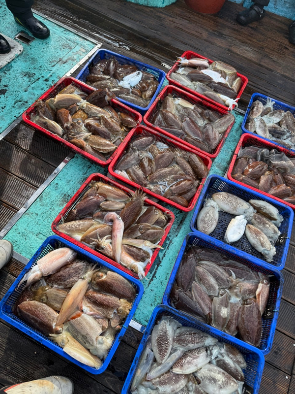 제주 쏘니호_사진_20260205_4.jpg