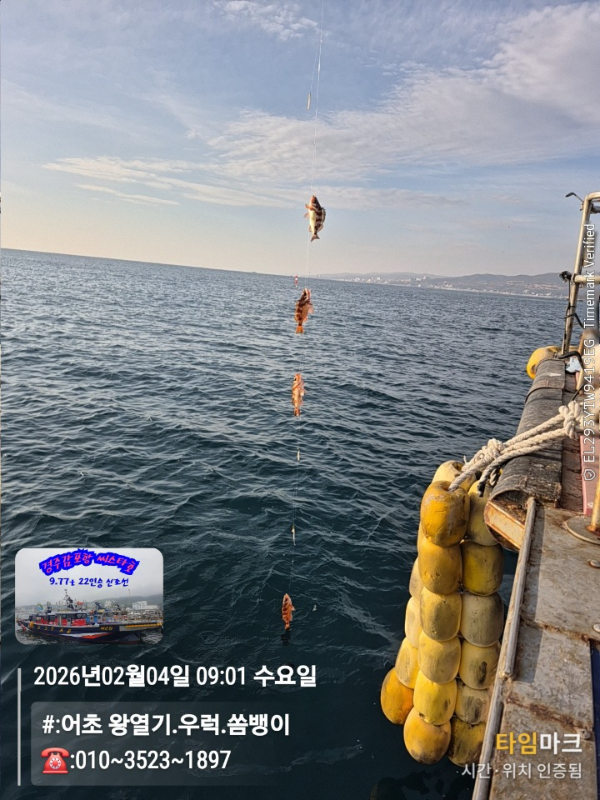 2026-02-04 09.01.55__(#-어초 왕열기.우럭.쏨뱅이)_(-010~3523~1897).jpg