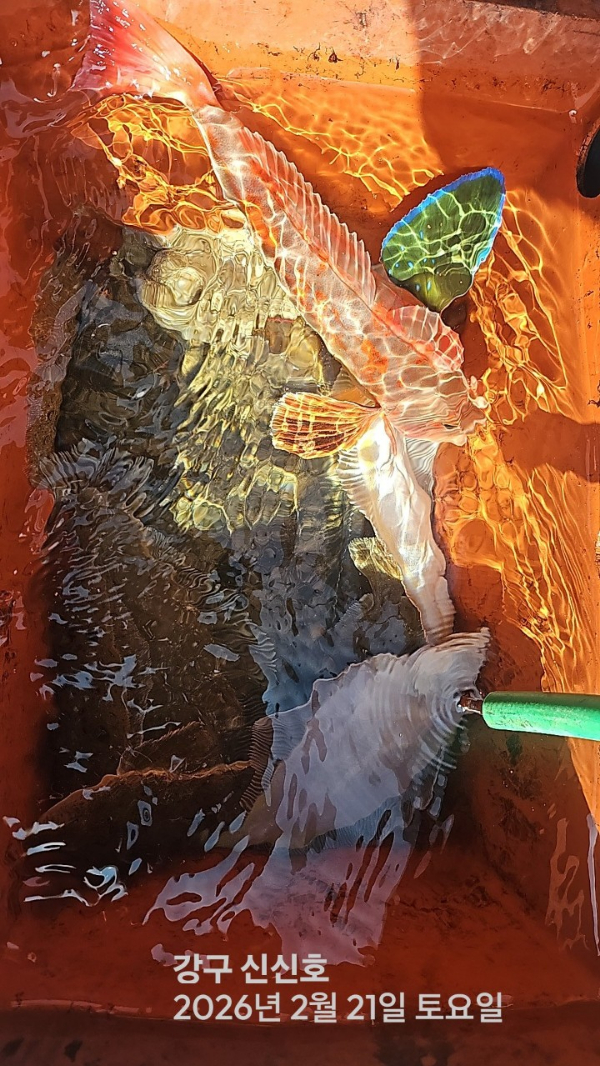 신신낚시 강구점 신신호_사진_20260221_14.jpg